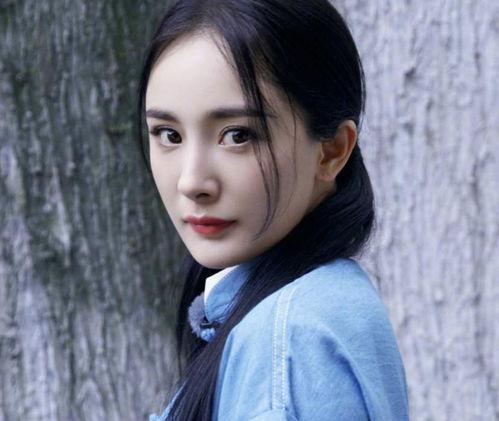星宿的女明星,揭秘女明星背后的星宿奥秘