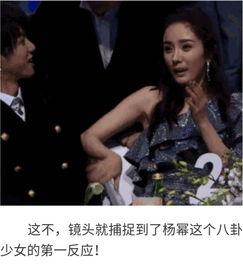 明星吃瓜八卦娱乐小说,明星们的甜蜜瓜田