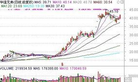 王中军王忠军 背景